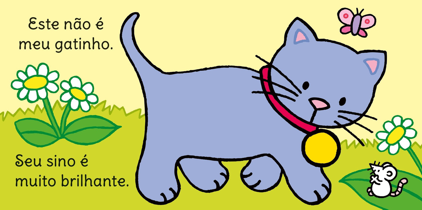 Cadê o meu gatinho?