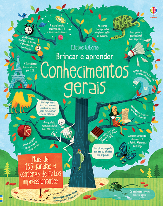Conhecimentos gerais: Brincar e aprender