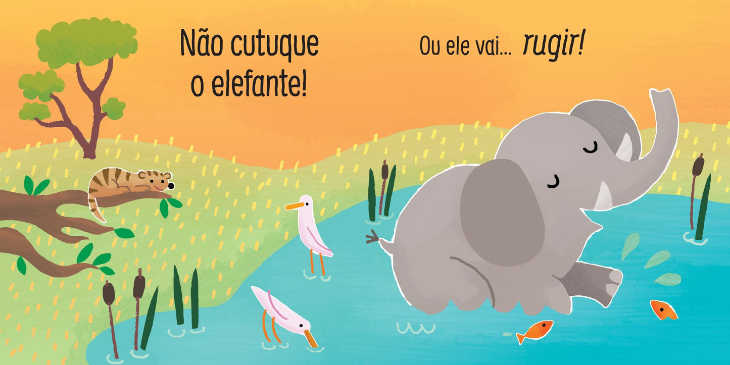 Não cutuque o elefante!