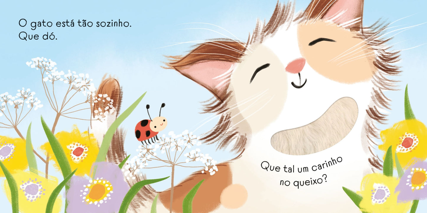 O gatinho está dodói