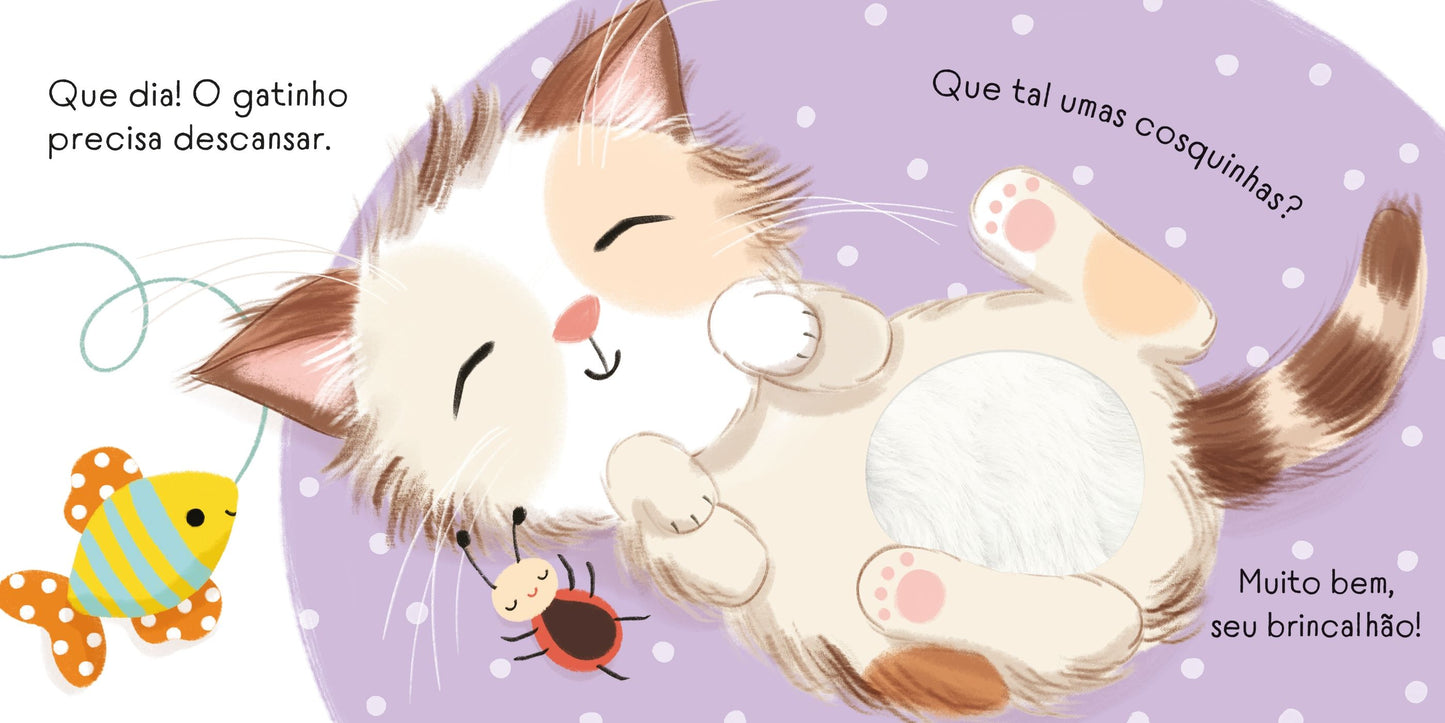 O gatinho está dodói
