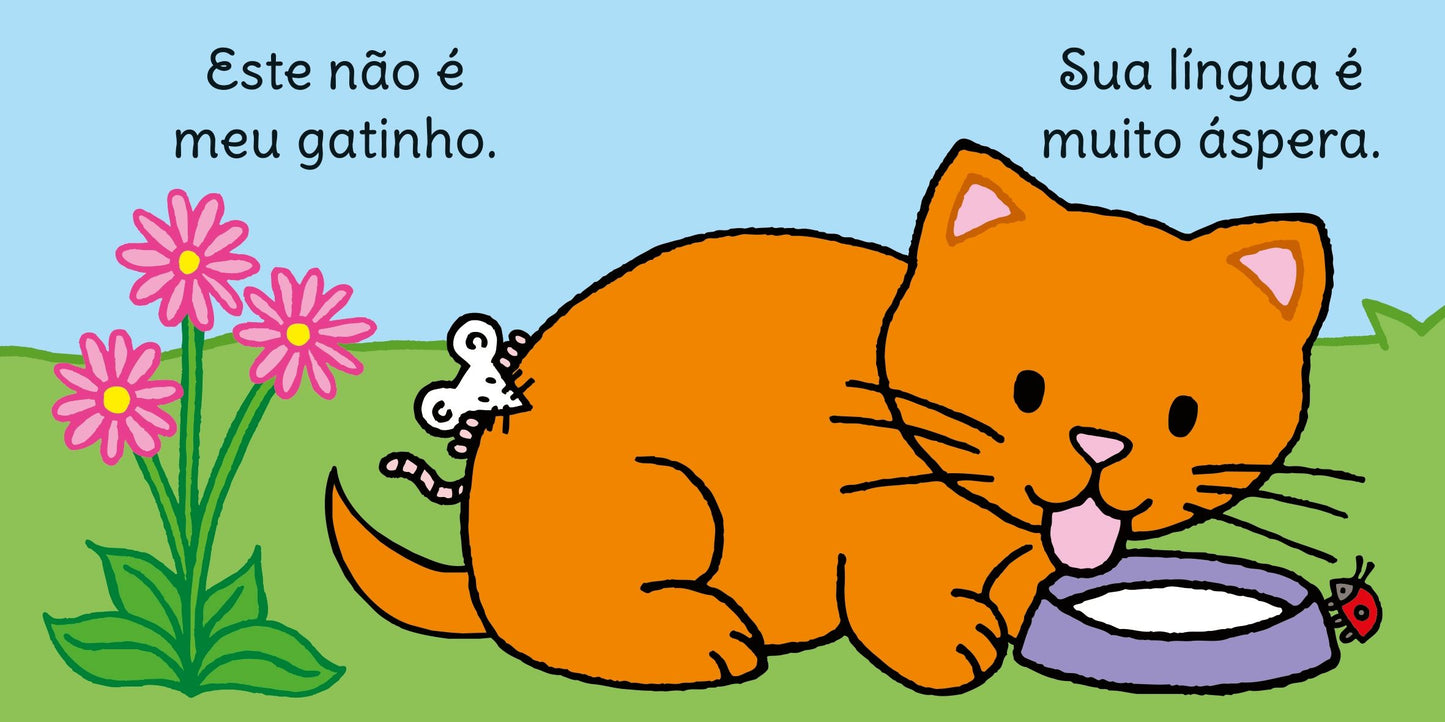 Cadê o meu gatinho?