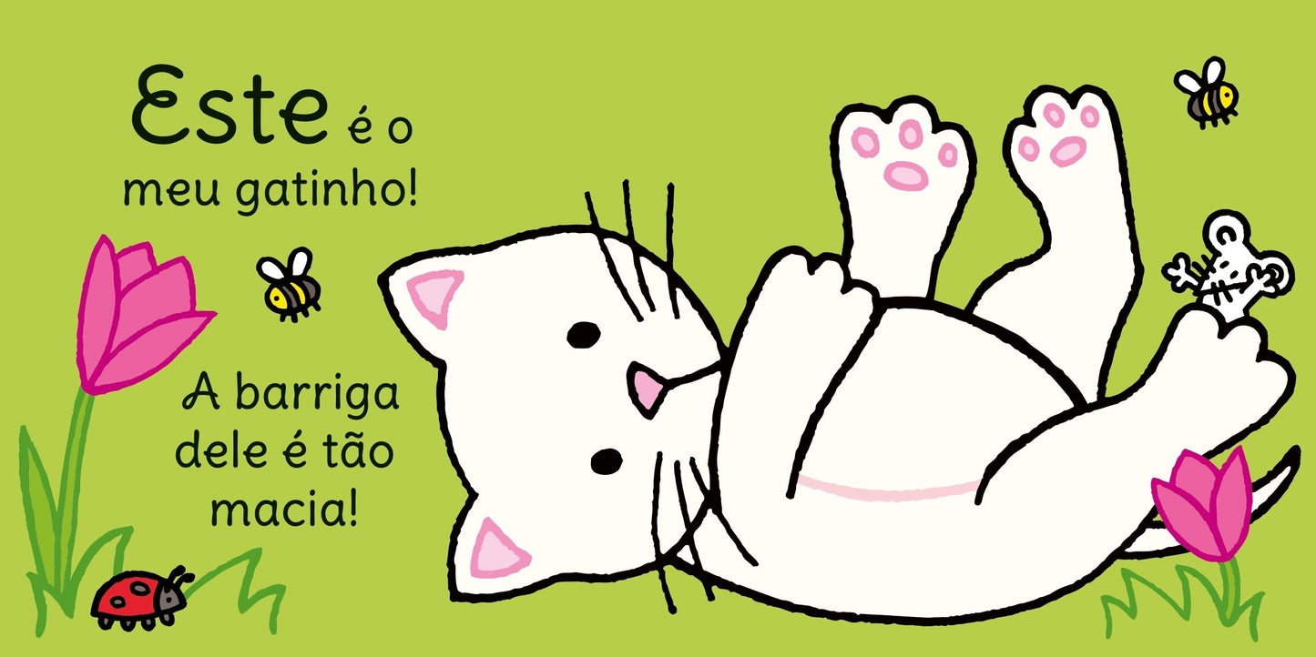Cadê o meu gatinho?